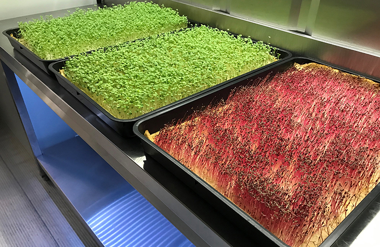 Vertical farming